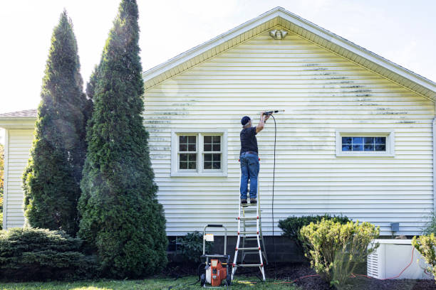 Animal Enclosure Cleaning in Underwood, IA